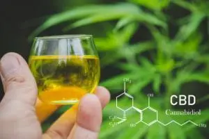 CBD And Antibiotics