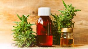 Eco-Friendly CBD Extraction