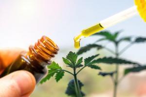 CBD Pain Relief