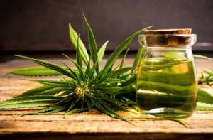 Rise In Consumer Demand For Hemp Products